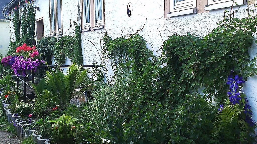 Ferienwohnung Sapana Pockau Exterior foto